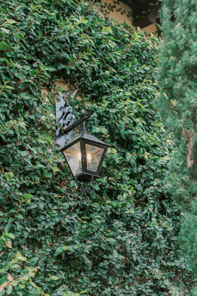 wall lantern with climbing ivy