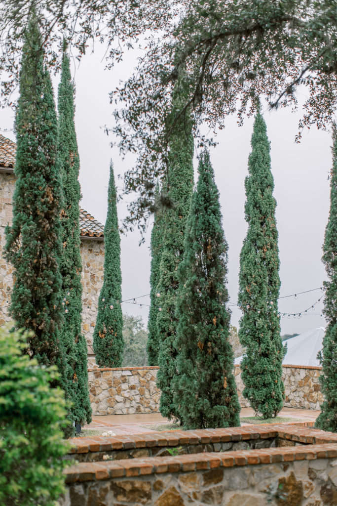 Bella Collina Wedding Photography with tall trees and string lights on cloudy day