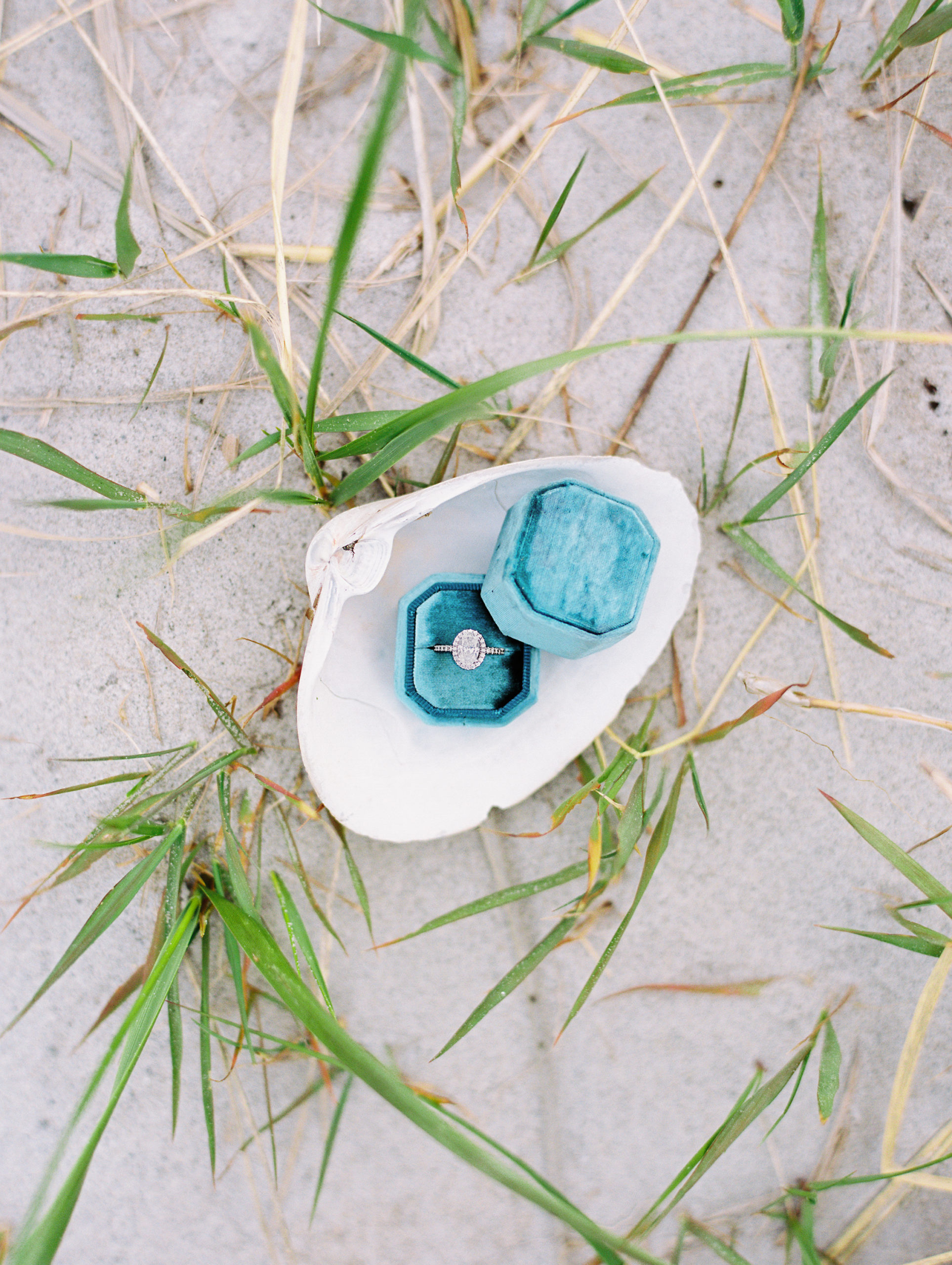 Blue engagement ring box inside of shell on the beach for Coastal Maine Engagement Session