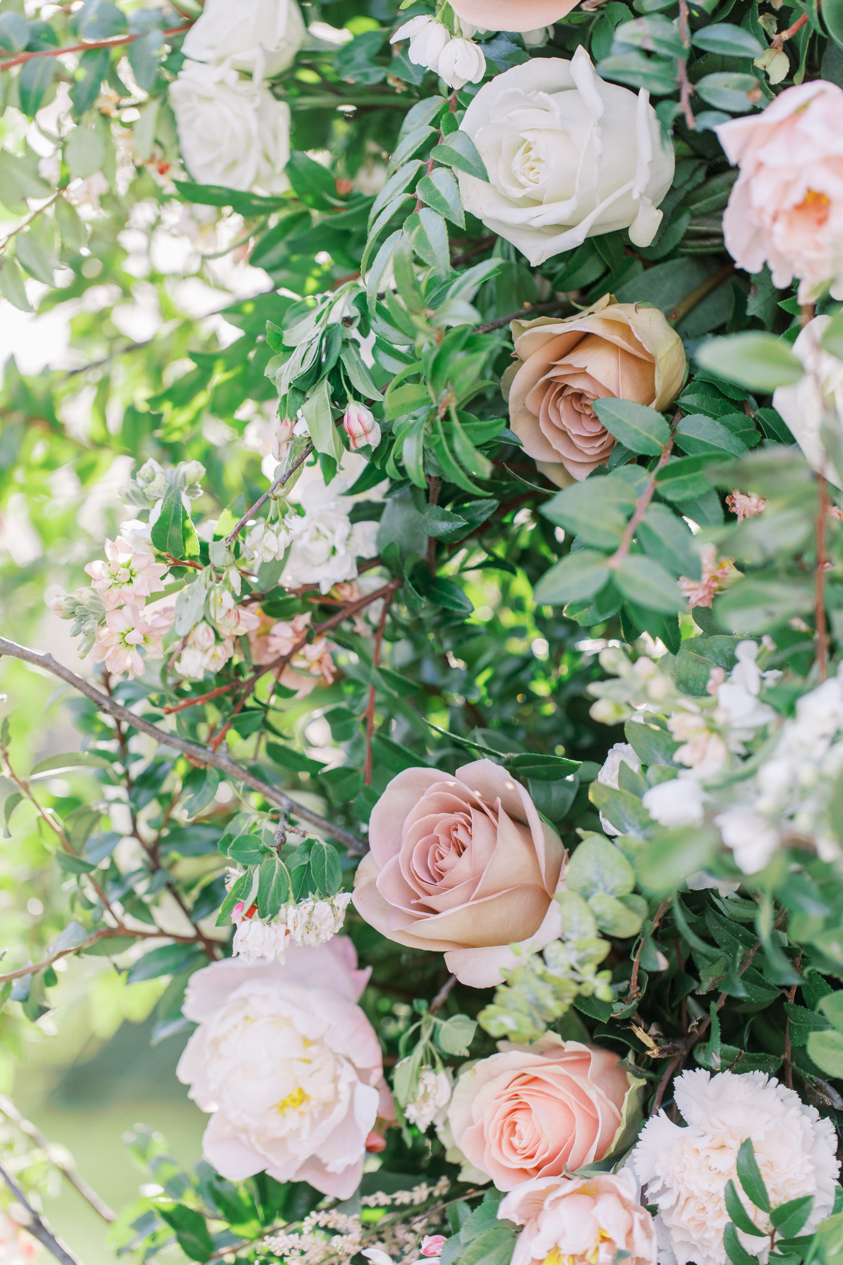 Up close view of peach and white rose arch for a Romantic Park Chateau Wedding Photography