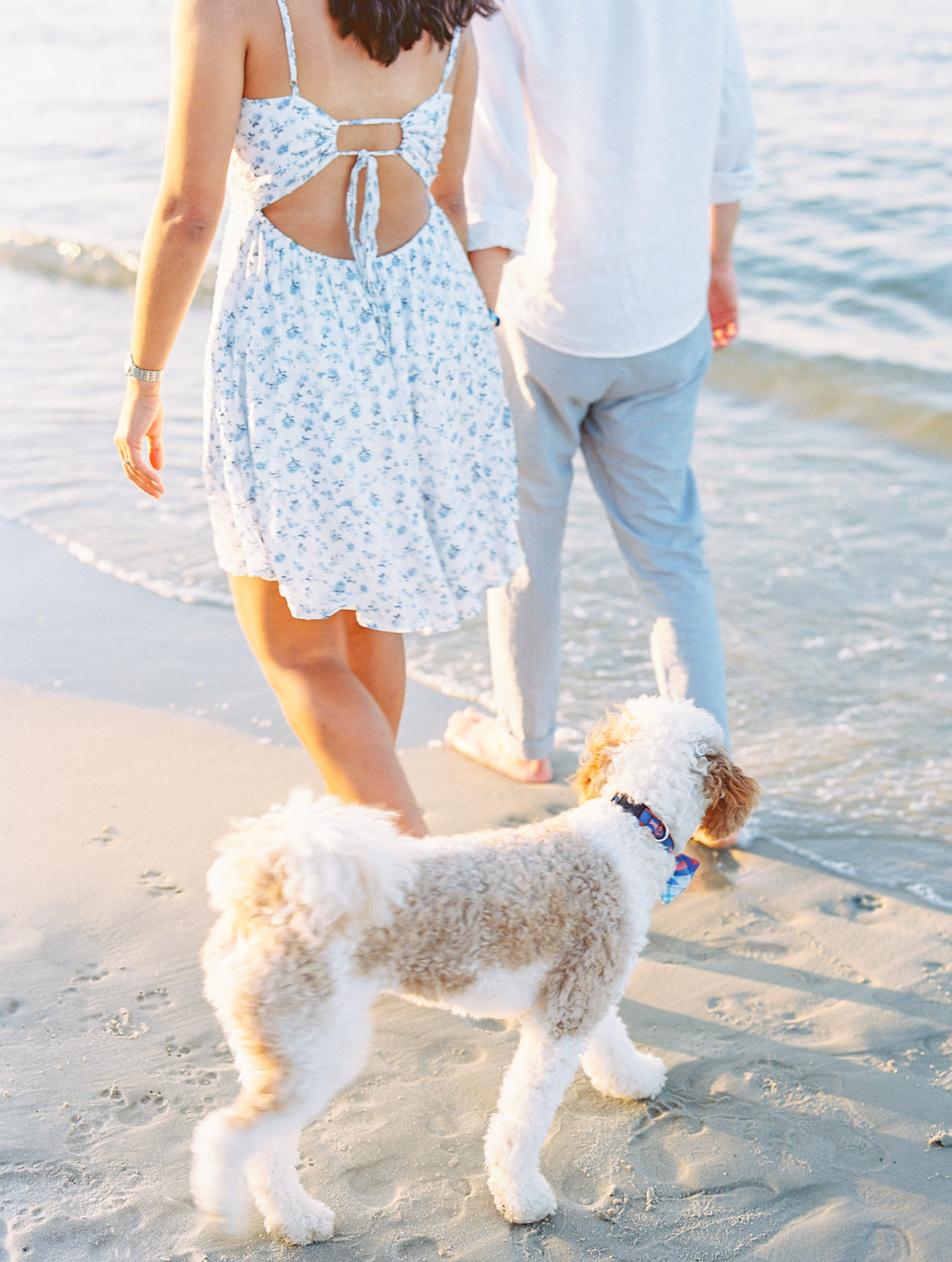 Couple holds hands walking on the beach with dog for Summer Lewes Engagement Session

