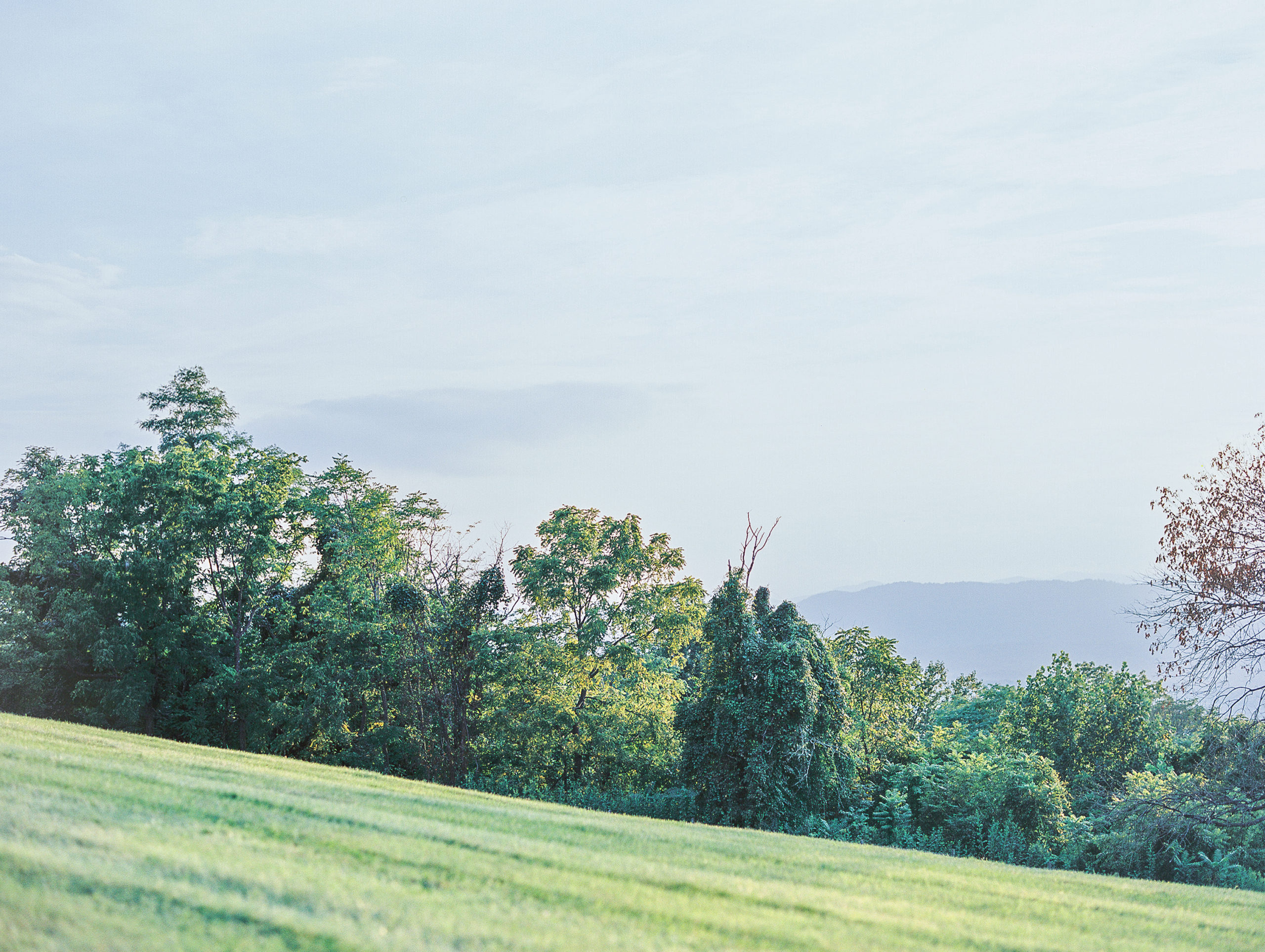 Mountain landscape of green trees and blue sky for Charlottesville Wedding Photography

