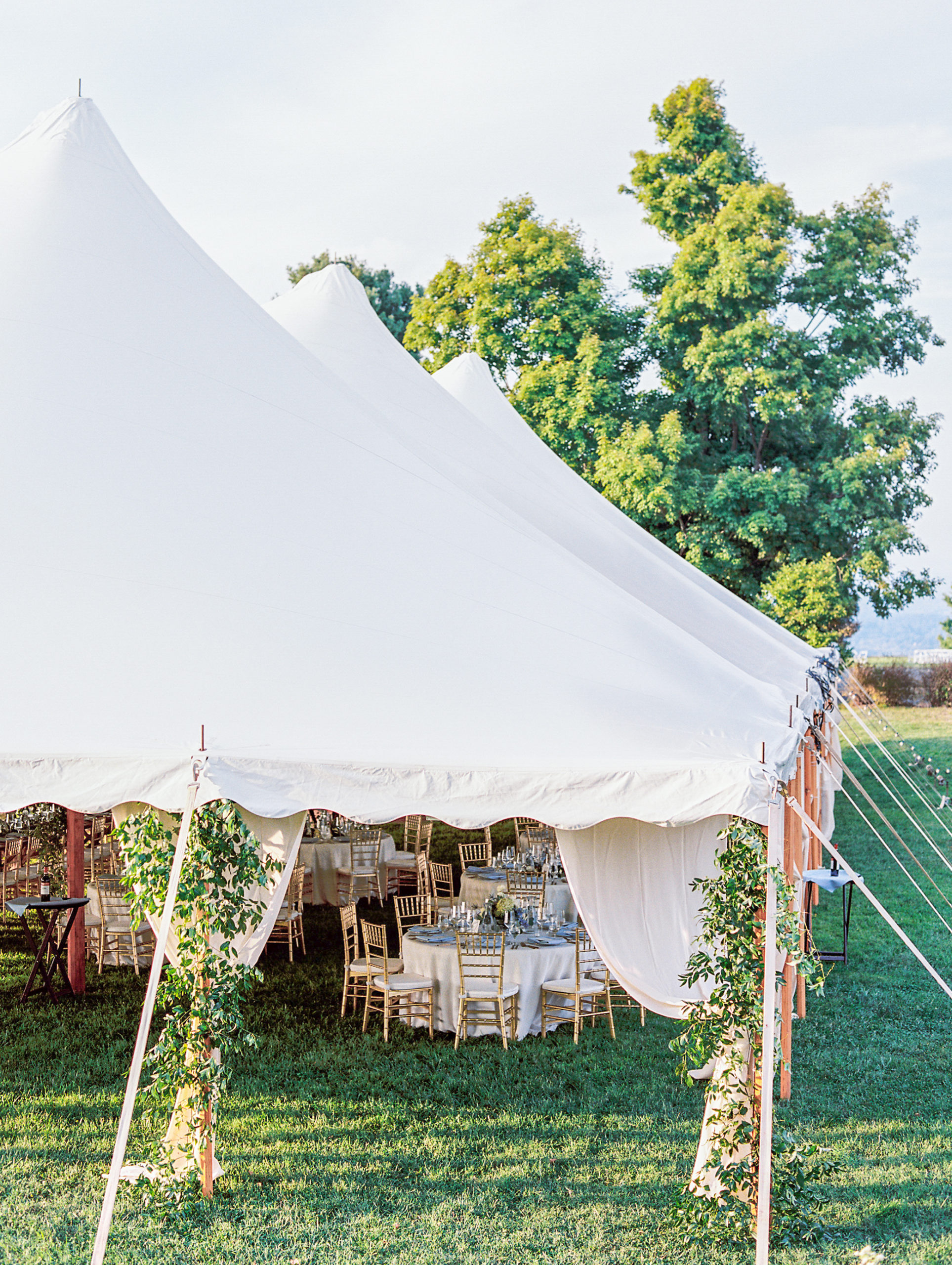 Wedding reception on lawn under large white tent for Charlottesville Wedding Photography
