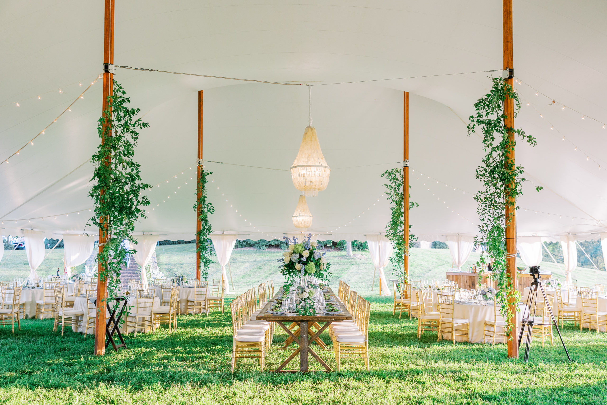 Wedding reception dining area under white tent with foliage and gold seats for Charlottesville Wedding Photography
