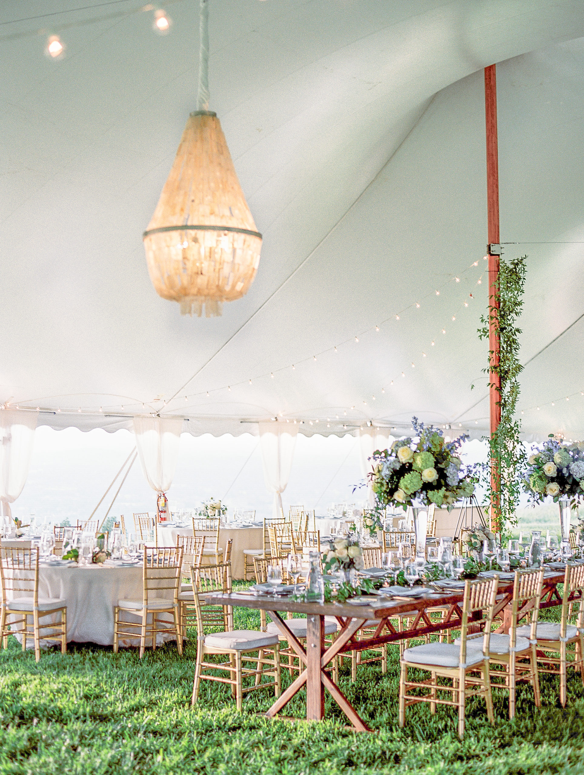 Wedding reception underneath white tent with large flower arrangements and gold seating for Charlottesville Wedding Photography
