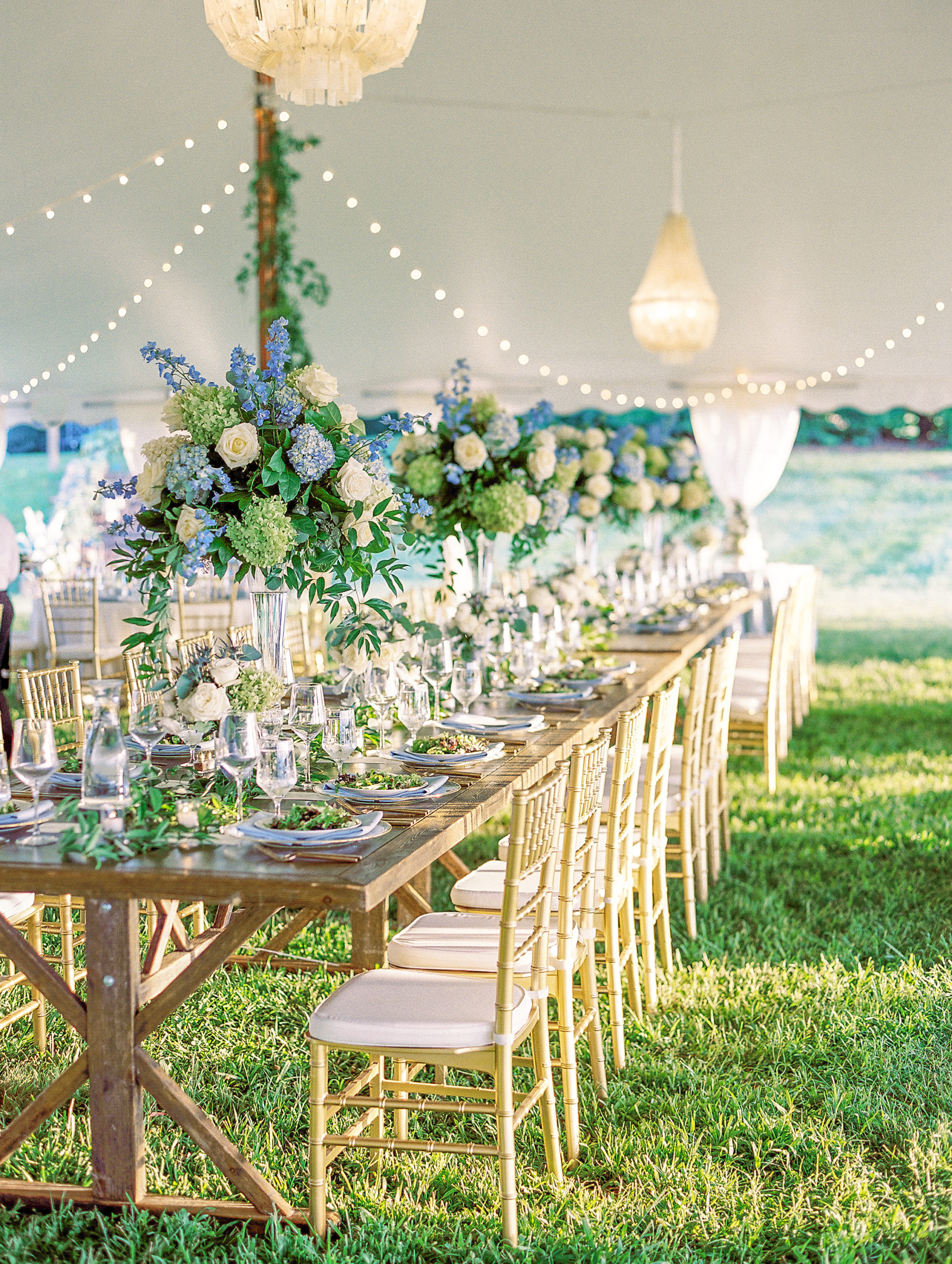 Wedding reception seating with large hydrangea and rose bouquets under tent 