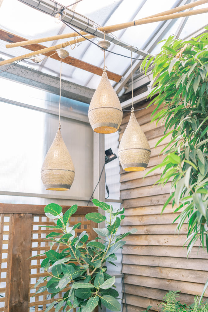 Hanging bulb-like lighting with plants in indoor venue space 