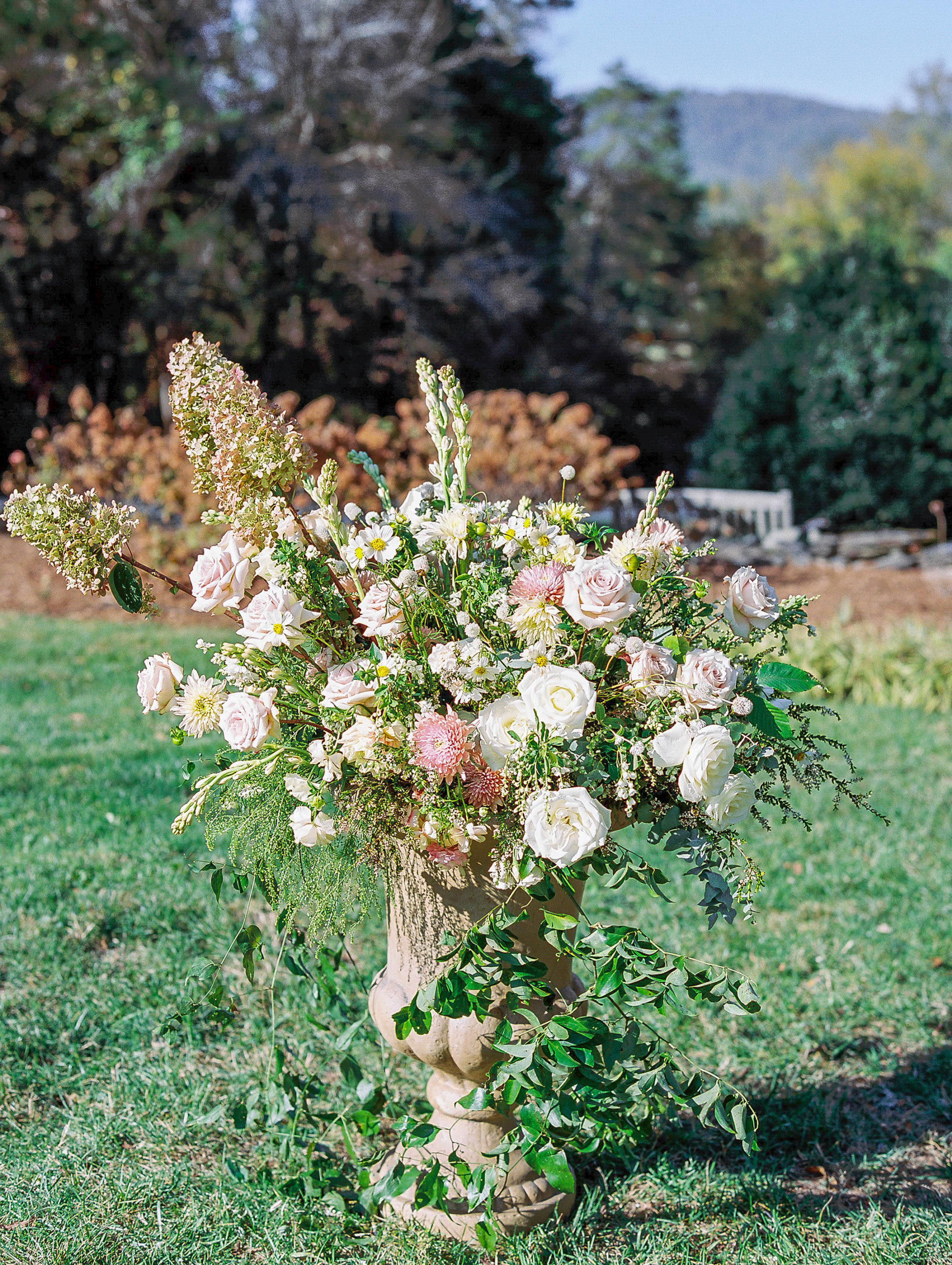 White roses and pink flower arrangement in pot on lawn for wedding for Clifton wedding photography