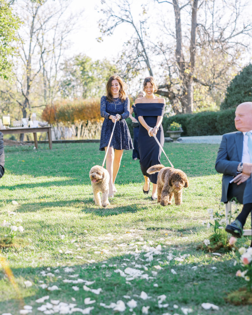 2 women in blue dresses walk 2 dogs down the aisle outside for Clifton wedding photography