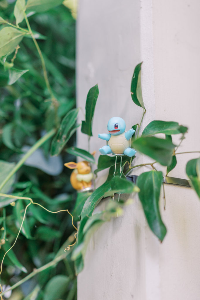 2 pokemon characters sitting atop leaves 