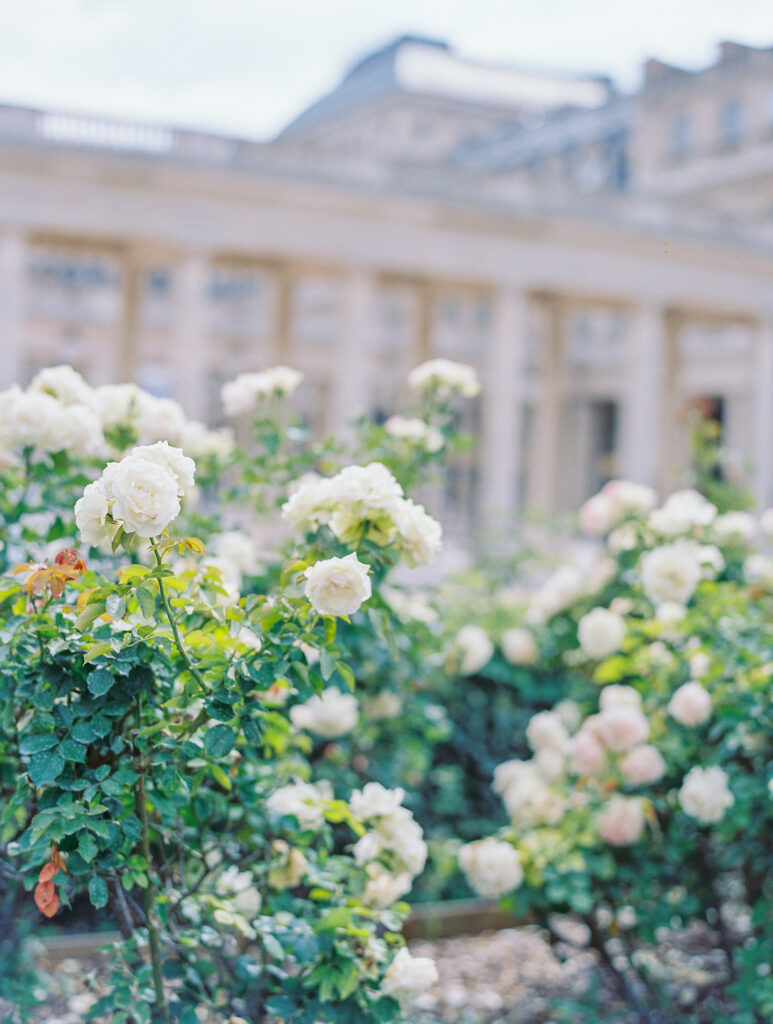 Paris on Film at the Palais Royale by Destination Wedding Photographer Katie Trauffer