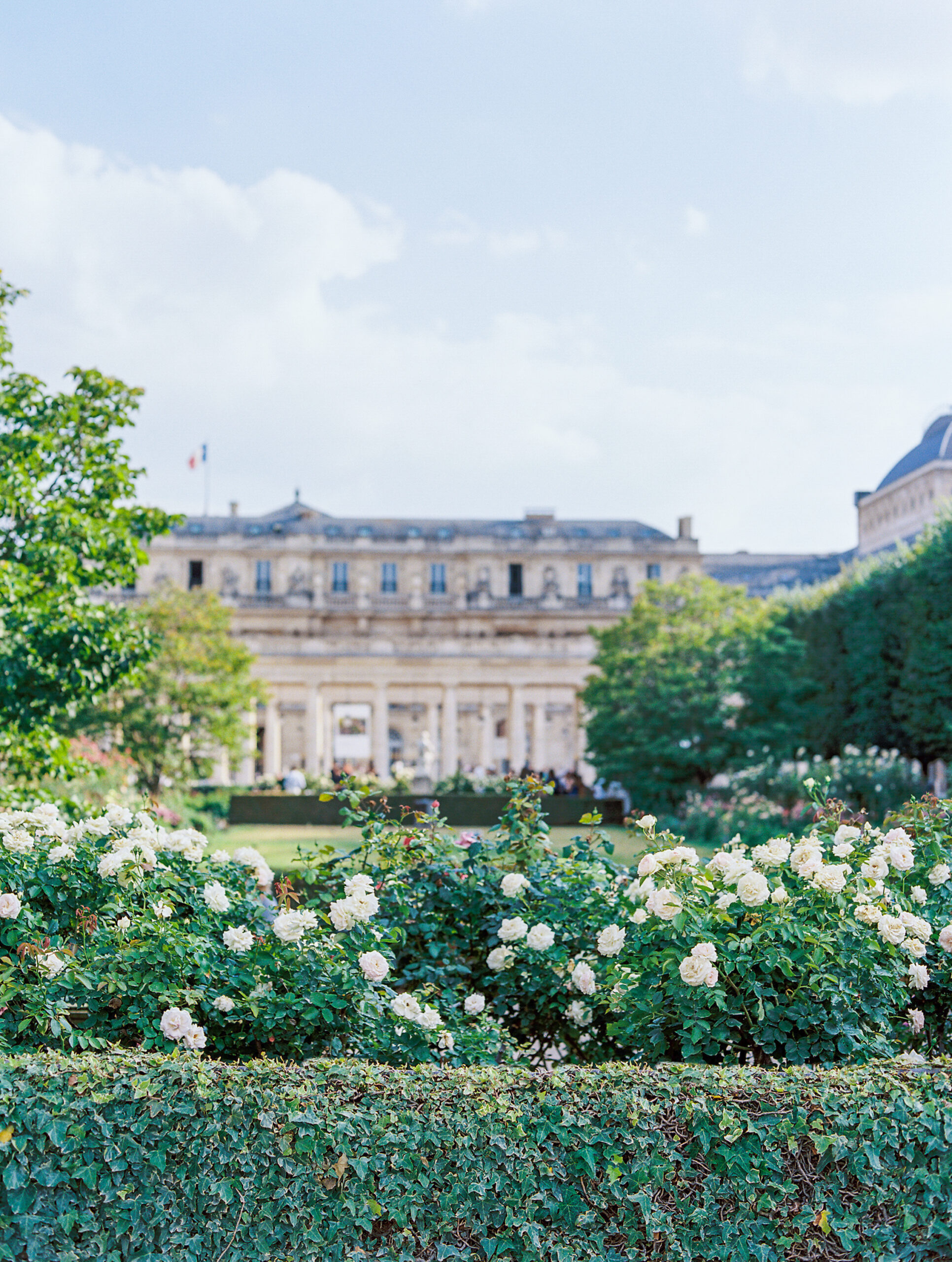 Paris on Film at the Palais Royale by Destination Wedding Photographer Katie Trauffer