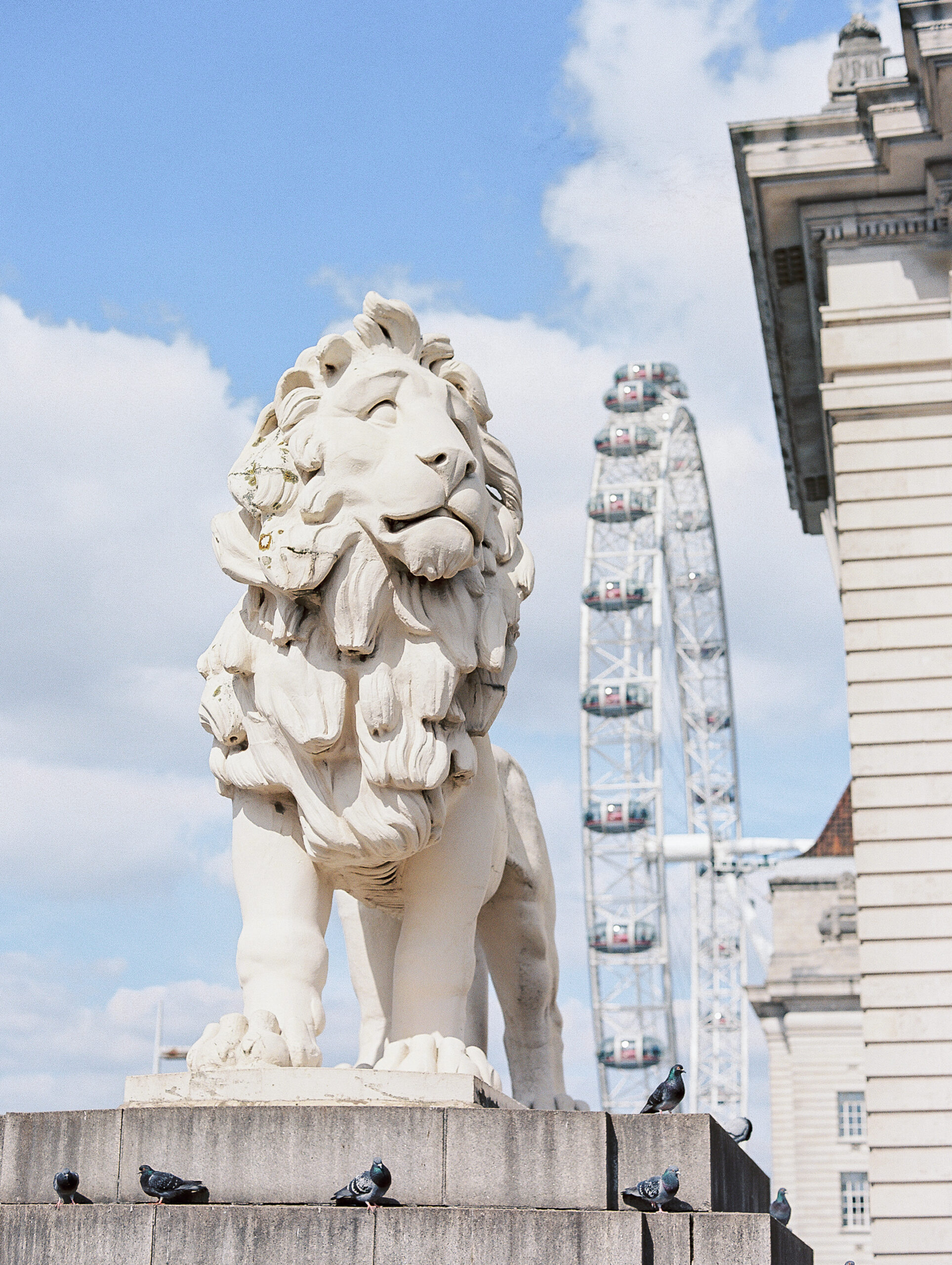 Spring in London Travel Blog by Destination Wedding Photographer Katie Trauffer - Lion statue with London Eye and birds
