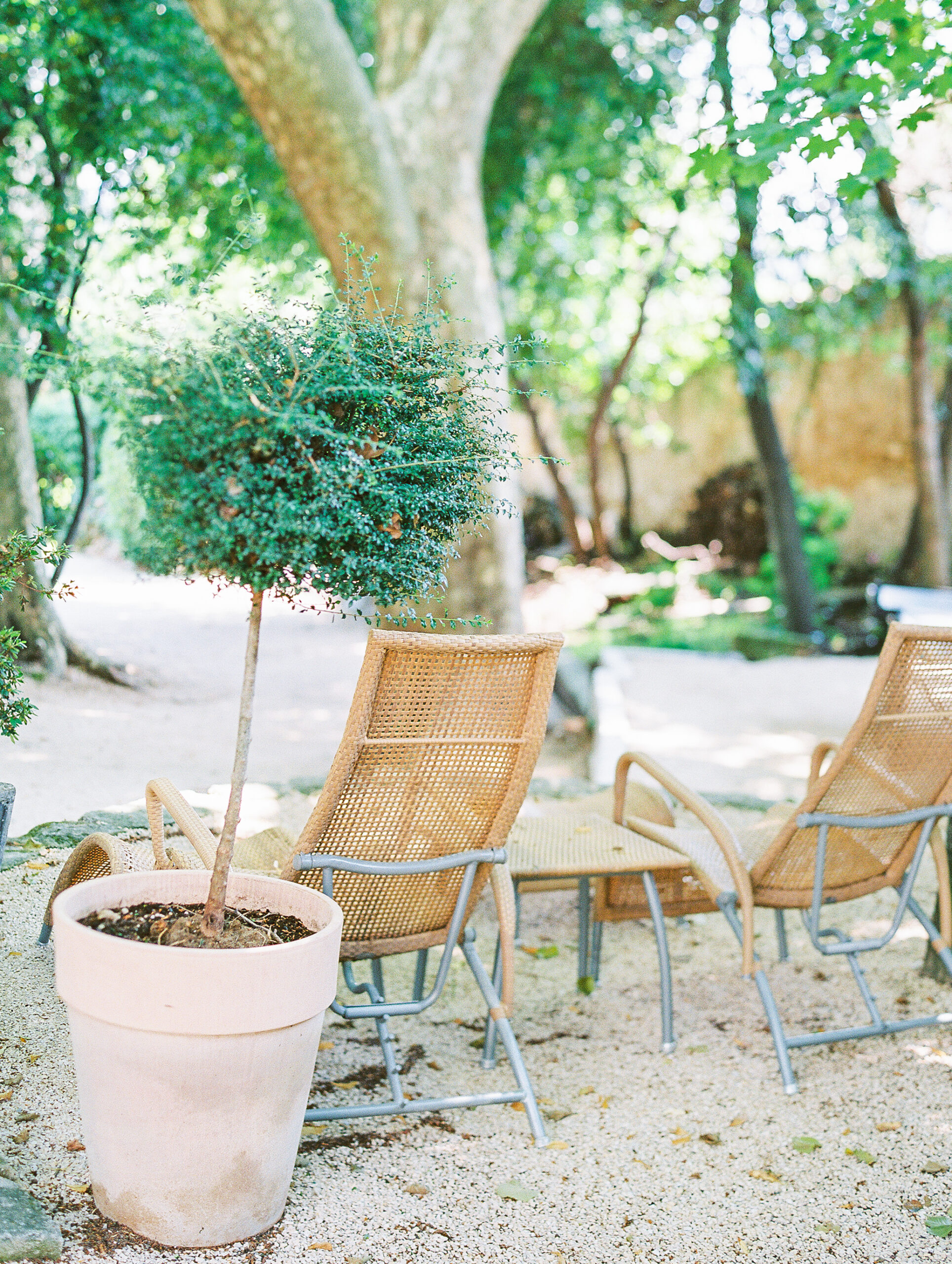 summer in provence rattan lounge chairs under shady trees with potted tree