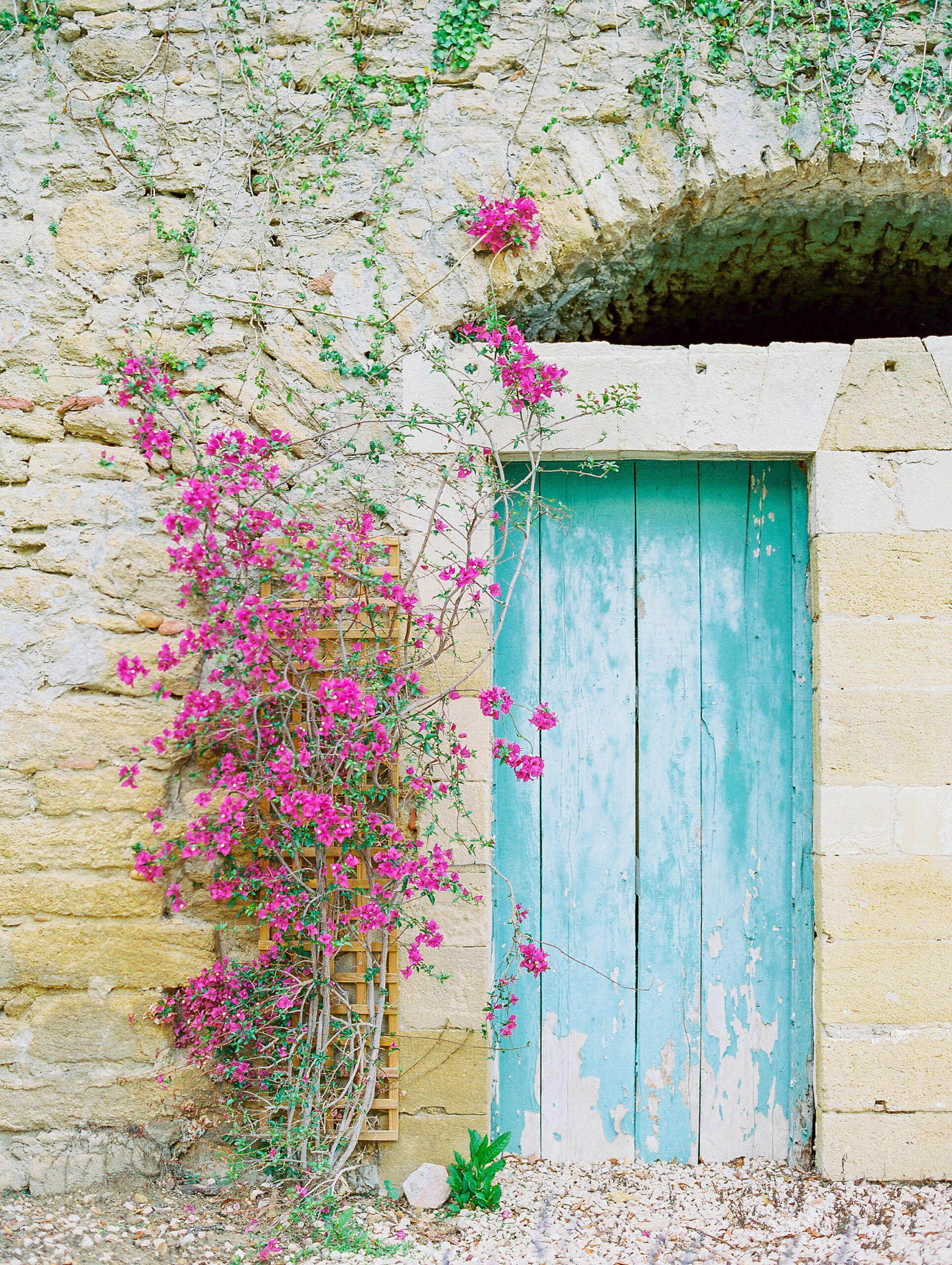 summer in provence Bougainvillea in bloom next to turquoise doors
