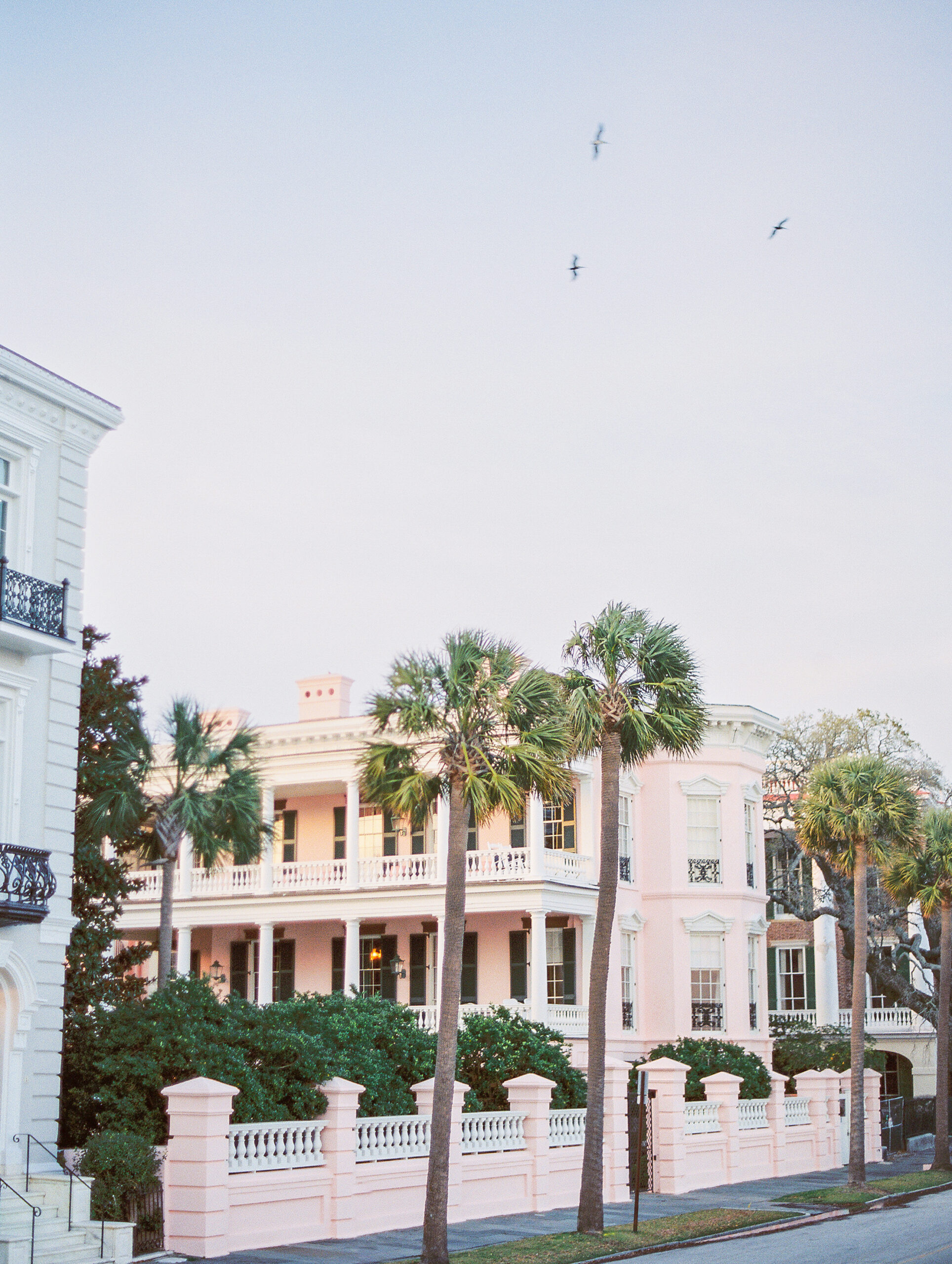 downtown charleston at sunset with birds flying over pink house at luxury charleston wedding