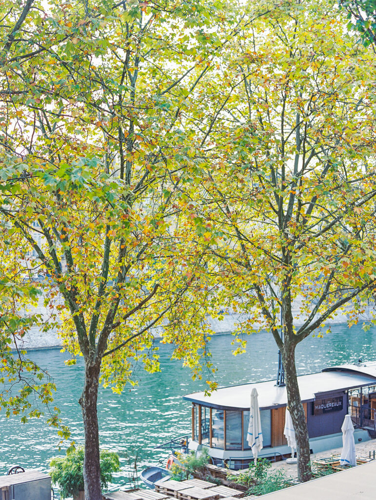 Paris in the Fall, yellow trees with turquoise blue waters of the Seine