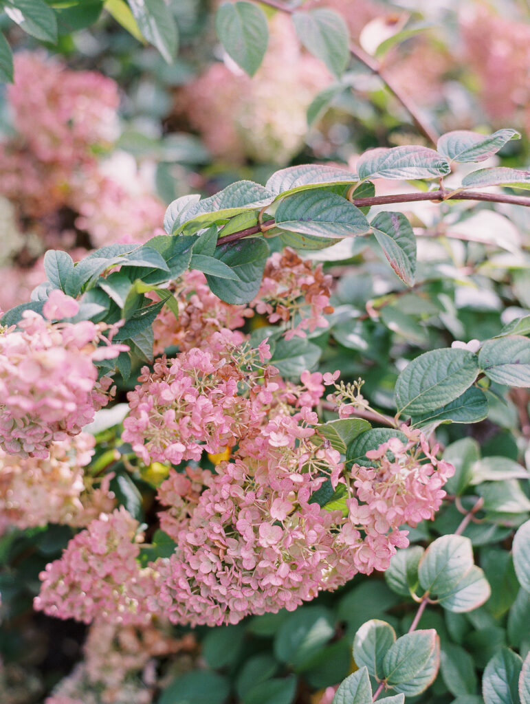 St. Michael's Coastal Garden Wedding by Destination Film Wedding Photographer Katie Trauffer